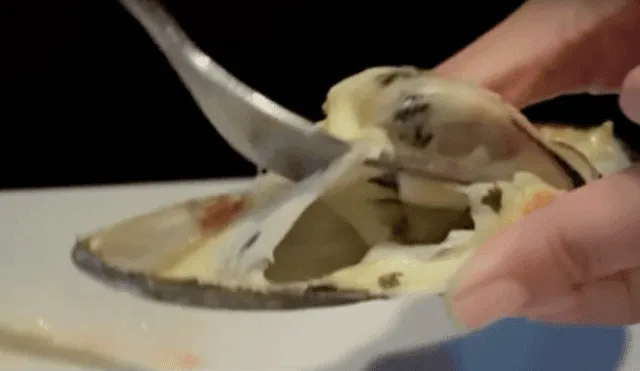 Vía YouTube: Bacteria la mató por dentro tras comer ostra cruda [VIDEO]
