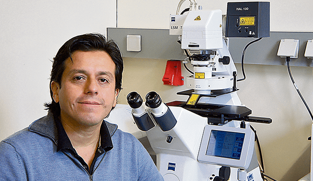 Cerebro. Dr. Málaga es Ph. D. en Microbiología e Inmunología. (Foto: Difusión)