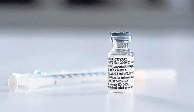Etapa de ensayos. El Perú reúne condiciones especiales para probar las vacunas.