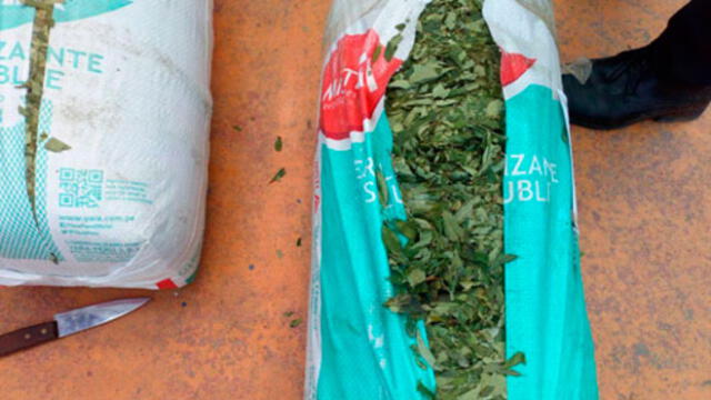 Decomisan 120 kilos de hoja de coca en La Libertad