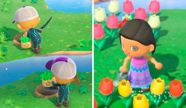 Facebook cree que venden drogas en grupo de Animal Crossing por usar la palabra 'weed' y advierte con cerrarlo.