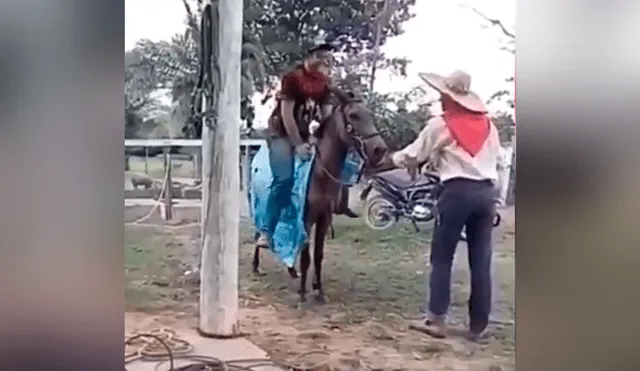 Facebook viral: chico confunde mula salvaje con caballo, se monta y pasa vergüenza [VIDEO] 