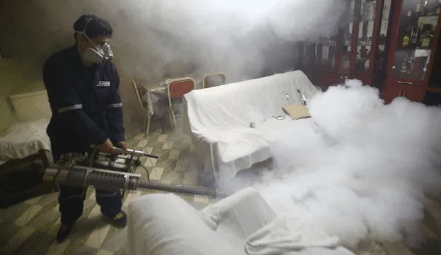 Alarma en Lambayeque por reaparición mortal de la peste bubónica