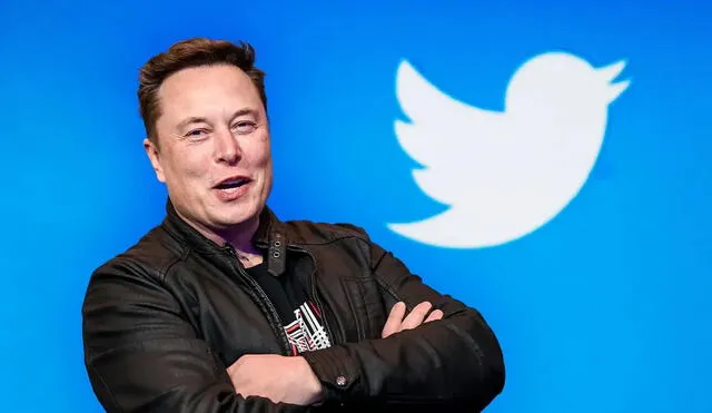 Elon Musk busca que Twitter sea una plataforma rentable. Foto: Salon.com