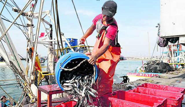 Crece el interés de inversión en la pesca