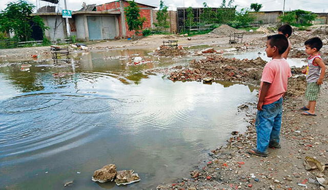 Piura: reportan 31 casos de leptospirosis por lluvias