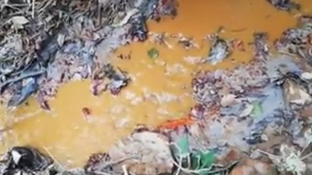 Agricultores acusan a minera por envenenarlos con agua contaminada [VIDEO]