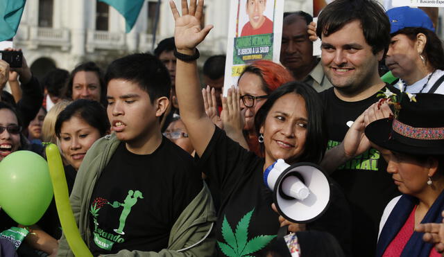 Colectivos saludan ley sobre uso del cannabis pero piden hacer ajustes