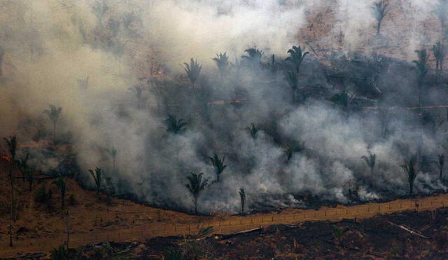 El número de incendios en el Amazonas se han incrementando considerablemente respecto al 2018.
