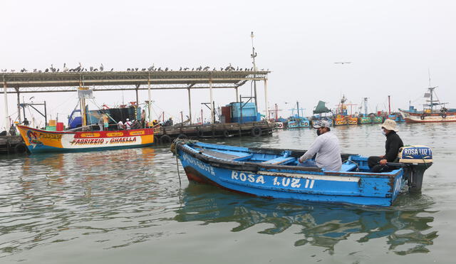 Puerto de San Andrés, donde confluyen algueros y pescadores artesanales. Foto: UCSUR