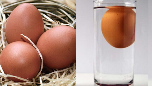 ¿Cuánto duran los huevos y cómo saber si están buenos o malos? Foto: Pixnio y captura web 'Yo como bien'.