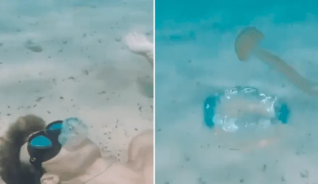 Joven lanza una burbuja hacia una medusa y la respuesta del animal desconcierta en redes [VIDEO]