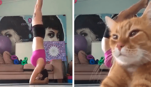 Facebook viral: mujer realiza arriesgado ejercicio de yoga, se graba y su gato arruina el momento [VIDEO]