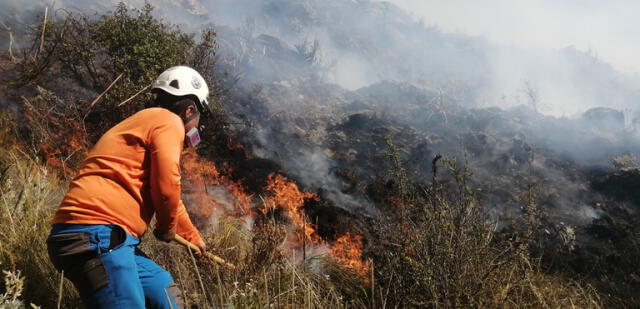Incendio forestal arrasa con 200 hectáreas de pastos en Parque Nacional Huascarán