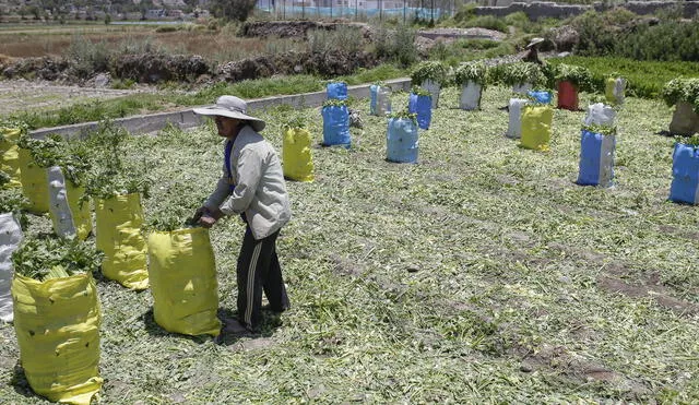 afectados. Agricultores no pueden sacar sus productos.