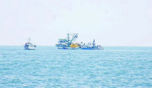 Intervienen más de 12 toneladas y media de pesca ilegal 