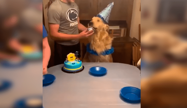 En Facebook, un perro ciego fue sorprendido por su dueño, quien le preparó una fiesta de cumpleaños.