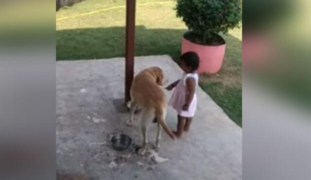 Desliza las imágenes para conocer más detalles sobre esta graciosa niña que da lecciones a su perrito. Foto: captura de Facebook