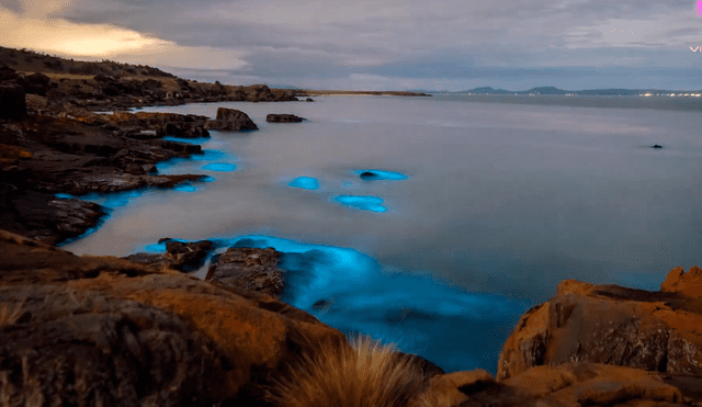 El fenómeno de la bioluminiscencia pudo hacer posible este magnífico video. Foto: Videlo/ YouTube