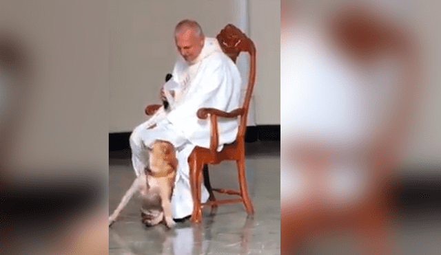 Facebook viral: perro irrumpe a párroco durante misa y la reacción de religioso asombra a todos [VIDEO]