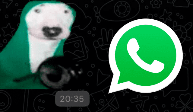 Conoce cómo conseguir el sticker con sonido del perro tocando una sartén para usarlo en WhatsApp. Foto: composición La República.