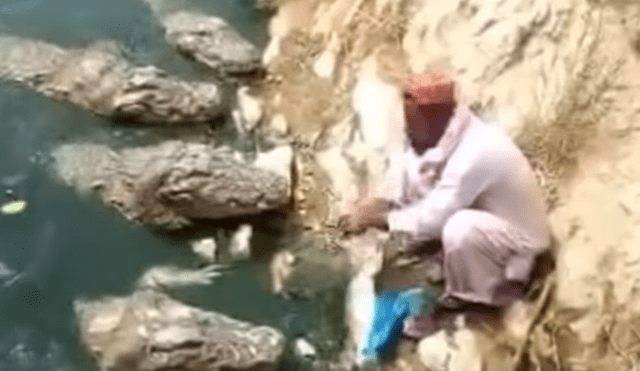 YouTube viral: graban a hombre ingresando a lago de cocodrilos para "alimentarlos” [VIDEO]
