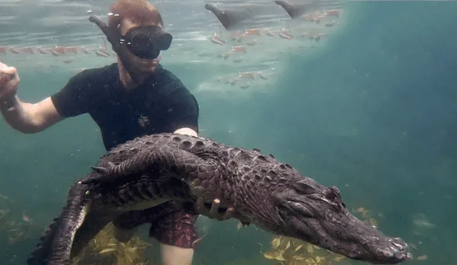 Un video viral de YouTube registró el momento en que un hombre ingresó a la piscina de un cocodrilo.