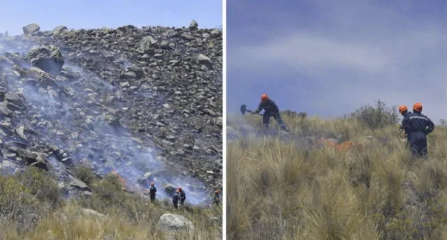 Arequipa: Incendio forestal en Caylloma casi provoca la muerte de 200 alpacas