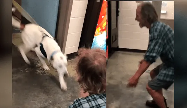 Hombre sin hogar se reunió con su mascota después de varios días sin verlo y la reacción del can se hizo viral en Facebook