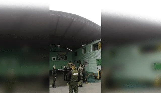 YouTube viral: soldados peruanos salvan a gato que está a punto de caer de techo [VIDEO]