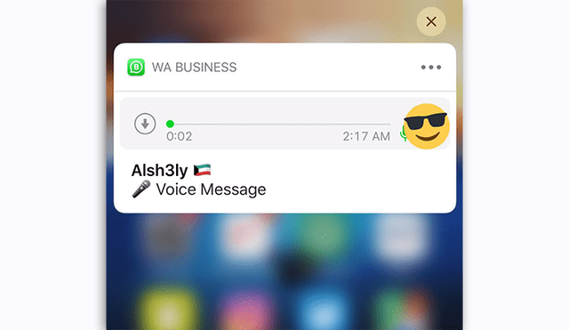 WhatsApp iOS Audio