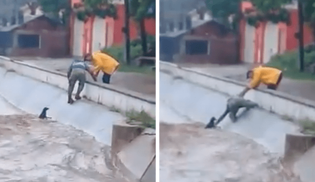 En YouTube, un chico se lanzó a un peligroso río para salvar a un perro callejero que suplicaba por ayuda.