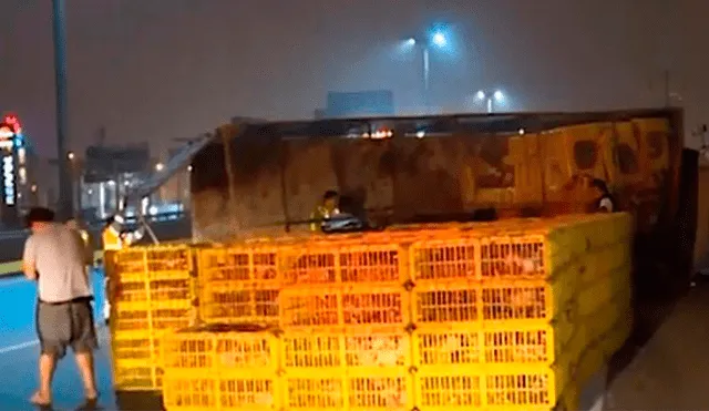 Camión que llevaba gallinas se vuelca y vecinos protagonizan vergonzosa acción [VIDEO]