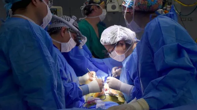 Equipos itinerantes de médicos atenderán cirugías en regiones