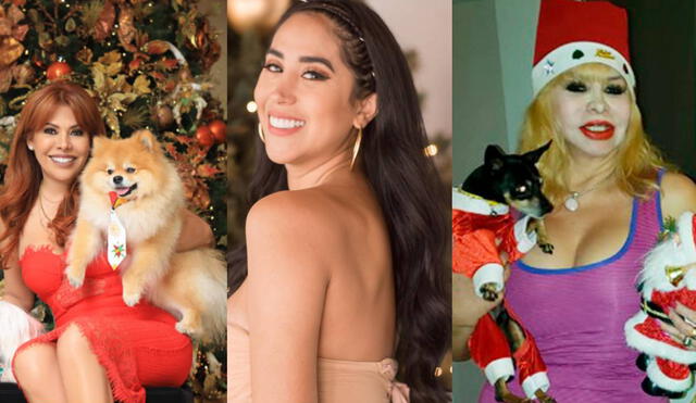 Figuras de la farándula peruana comparten sus planes para Navidad y Año Nuevo. Foto: composición/Instagram