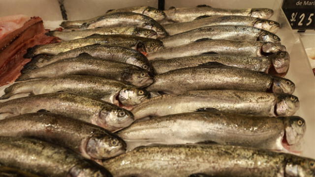 Pescadores venden más de 62 toneladas de productos hidrobiológicos