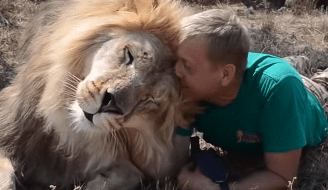 En Facebook se viralizó el encuentro de cuidador con enorme león.
