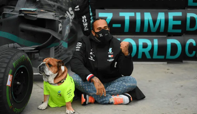 Lewis Hamilton celebrando su séptimo título con su perro. Foto: EFE/Clive Mason / Pool.