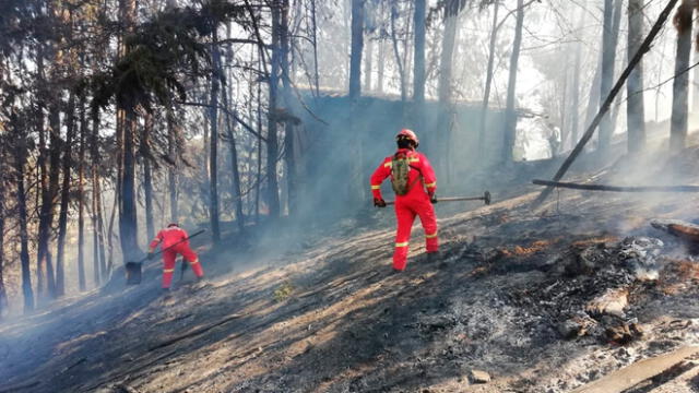 Bomberos controlan incendio forestal en Cajamarca