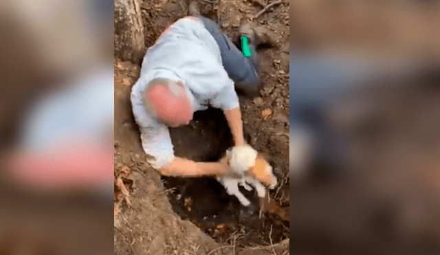 El hombre jamás imaginó que encontraría a su perra enterrada en un profundo hoyo después que esta se perdiera durante un paseo. La emotiva escena se ha hecho viral en Facebook