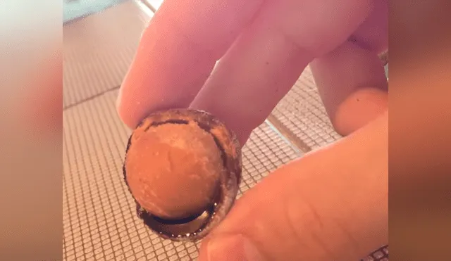 YouTube viral: joven experimenta colocando un huevo dentro de vaso con Coca Cola por un año [VIDEO] 