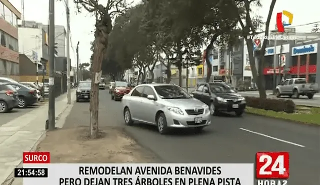 Hasta tres árboles interrumpen el libre tránsito de vehículos en la avenida Benavides. (Foto: Captura Panamerica)