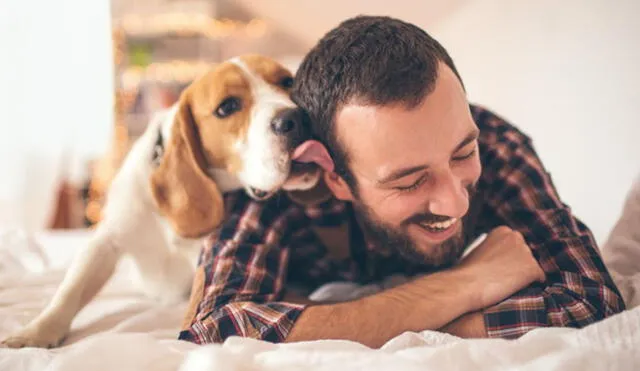 Los perros forjan vínculos especiales con determinadas personas. Conoce cuáles son las señales que te convierten en su "persona especial". Foto: VitaPet