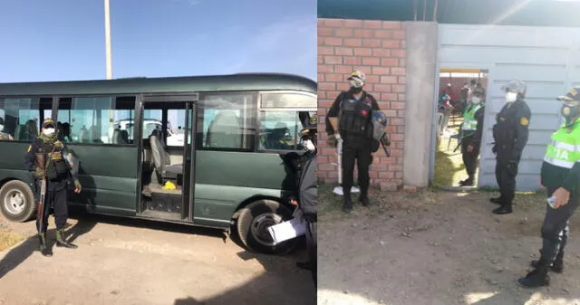 Arequipa. 45 personas son detenidos por realizar pelea de gallos en cuarentena