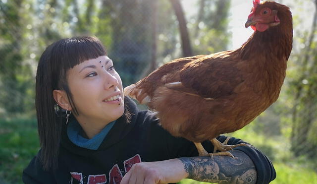 ‘Almas veganas’ se volvió tendencia en los últimos días por defender a las gallinas de su santuario. Foto: Facebook.