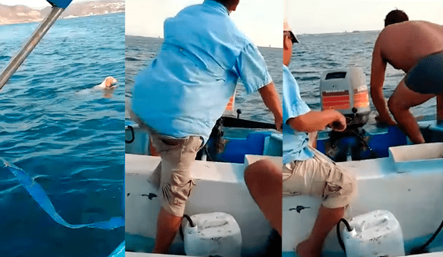 Hombres navegaban en alta mar a bordo de una lancha cuando se percataron de la desesperante situación del cachorro