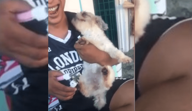 Video es viral en TikTok. Mujer grabó el peculiar comportamiento que tuvo el perro de su enamorado mientras este intentaba cortarle las uñas. Fotocaptura: TikTok