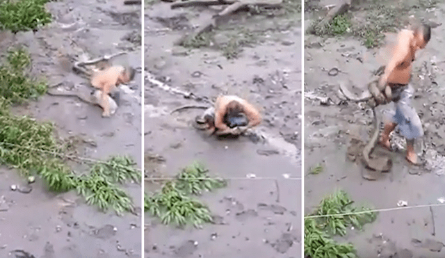 Desliza hacia la izquierda para ver el momento en que el hombre interfiere en la batalla de dos enormes serpientes en Filipinas. El video es viral en YouTube.