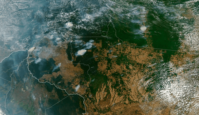 Amazonas en riesgo: satélites captan la magnitud del incendio en los bosques brasileños [FOTOS]