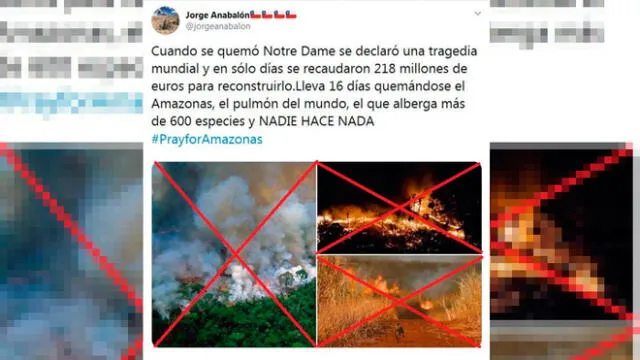 Imágenes falsas de los incendios en la Amazonía. Foto: AFP.
